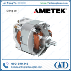 Động cơ AC DC AMETEK MAE BL 89 SI AC