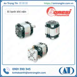 Xi lanh xoay Bonesi CKP Series