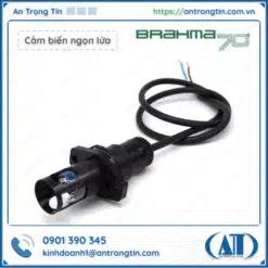 Quang trở Brahma FT11 FT13 nhập khẩu