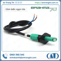 Quang trở Brahma FT11 FT13 nhập khẩu