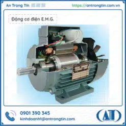 Động cơ điện E.M.G. Ý (E.M.G Elettromeccanica)
