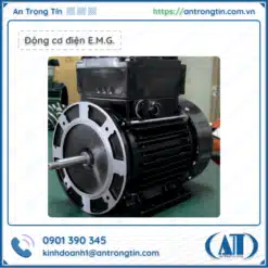 Động cơ điện E.M.G. Ý (E.M.G Elettromeccanica)