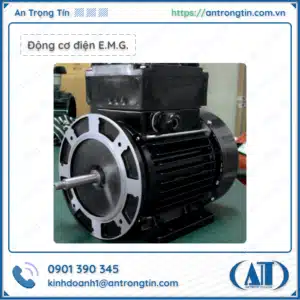 Động cơ điện E.M.G. Ý (E.M.G Elettromeccanica)