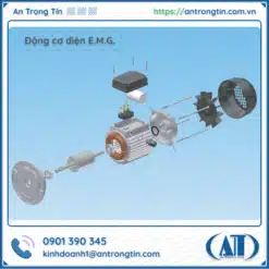 Động cơ điện E.M.G. Ý (E.M.G Elettromeccanica)