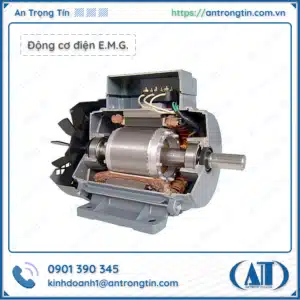 Động cơ điện E.M.G. Ý (E.M.G Elettromeccanica)