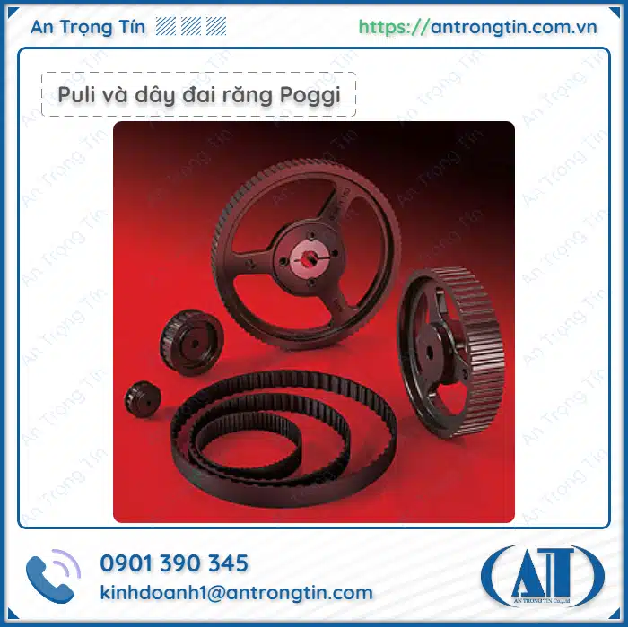 Puli và dây đai răng Poggi HTD RPP Tutmove Puli và dây đai răng Poggi HTD RPP Tutmove