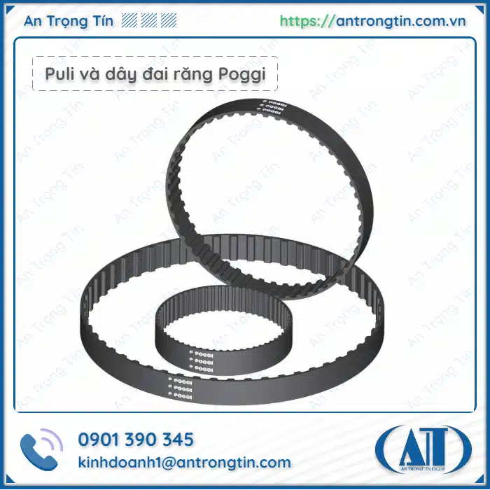 Puli và dây đai răng Poggi HTD RPP Tutmove Puli và dây đai răng Poggi HTD RPP Tutmove