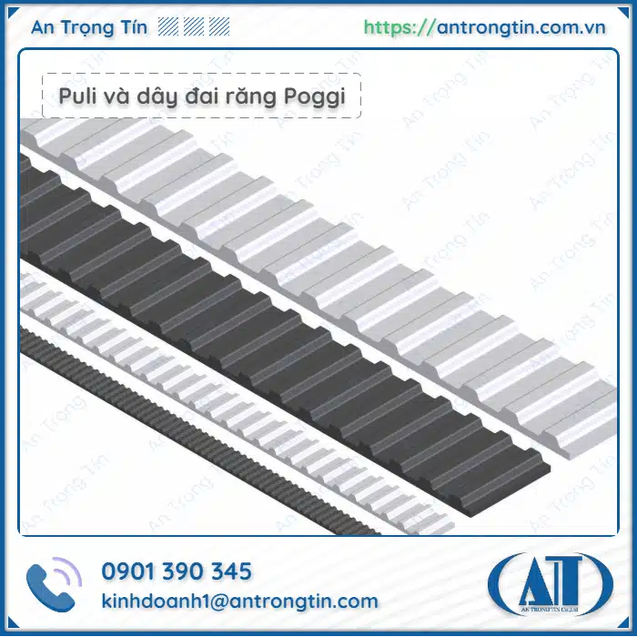 Puli và dây đai răng Poggi HTD RPP Tutmove Puli và dây đai răng Poggi HTD RPP Tutmove